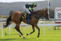 Incredible prizemoney levels & Racing NSW’s $1.3 million concept