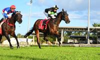 BEAU DANCER a maiden no more!