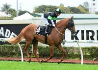 Racing QLD announces $18 million prizemoney increase