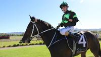 TAHSIN goes back to back in Mudgee Cup!