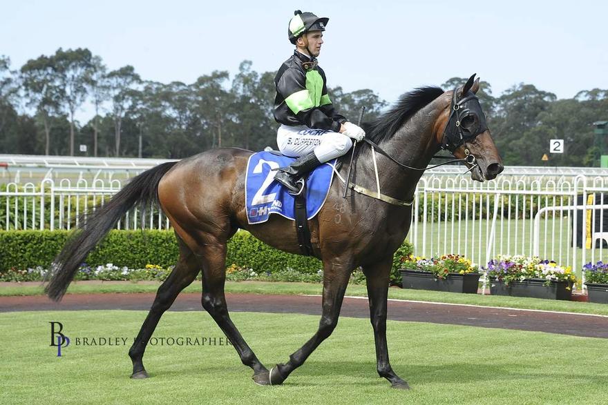 Last Wish Warwick Farm.jpg