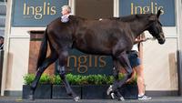 Inglis Classic wrap - Sebring galore!