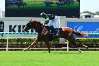 The Week Ahead FEB 18-24: Team of 5 for Eagle Farm