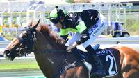 RECKLESS CHOICE trots in!