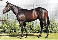 SNITZEL relation joins Proven