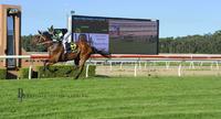 ROMALETTE a dominant maiden winner
