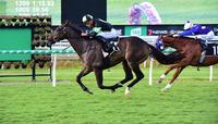 Scallopini, Eagle Farm and Steve O'Dea!