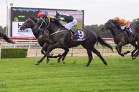 The Week Ahead MAY 13-19: Third time lucky for INVINCIANO?