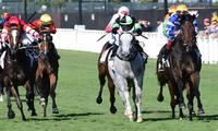 The Week Ahead MAY 6-12: Brisbane carnival heating up