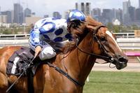 Miss Wonderland heads to Canterbury on her Magic Millions Path
