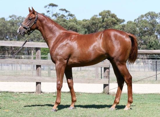 Written Tycoon X Mirage Rouge