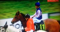 Undetected A Strong Winner on Debut At Warnambool 27 12 16