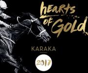 MITCH FREEDMAN RACING AT 2017 NZ KARAKA SALES