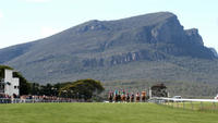 Danigree Loves Dunkeld