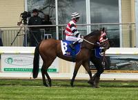 Two In A Row For Captain Harry