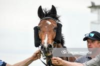 Unbeknown Wins Protest