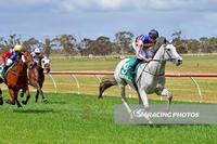 DERBY BOUND SOUTHERN MOON BOLTS IN