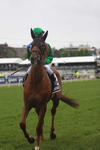 Moonlight Maid - Marvellous in the Oaks!