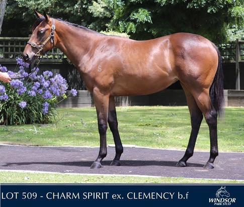 Charm Spirit X Clemency