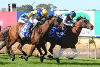 A Fast Euroa Cup