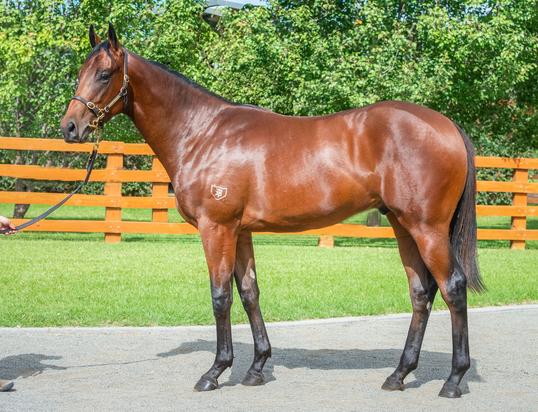 Lonhro X Commanding Secret