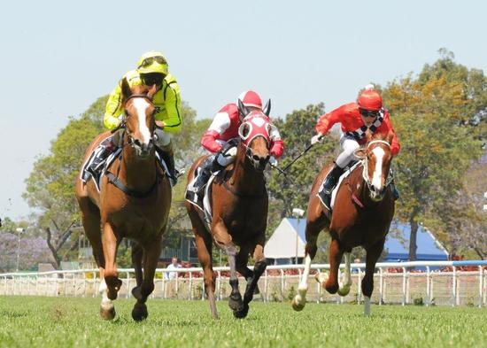 She's Our Star Doomben 2.jpg