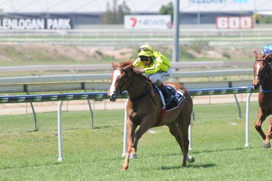 She's Our Star Doomben.jpg