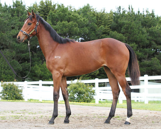 Denman x Flying Hula_13-10-2016_GEN_Manningtree Park__1551.JPG