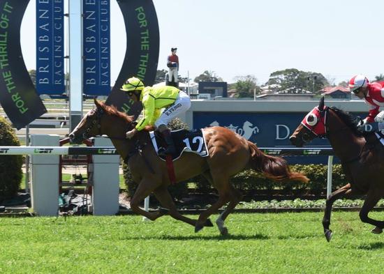 She's Our Star Doomben 3.jpg