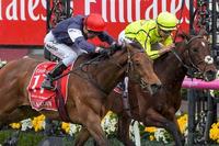 Australian Thoroughbred Bloodstock can make your Melbourne Cup dream come true