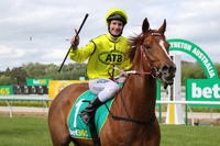 Taiyoo - More than a Racehorse!