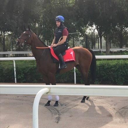 HBC Dubai Mar24 '17.JPG