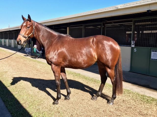 Swaane June1 '17.JPG