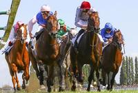 TIBERIAN MELBOURNE CUP BOUND