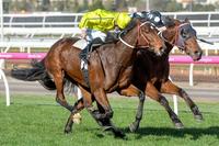 Early season blitz by ATB racehorses