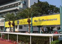 ​INTERNATIONAL OWNERSHIP ~ MORE THAN RACING!