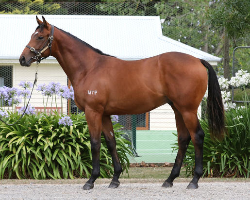 Not A Single Doubt X Azardi