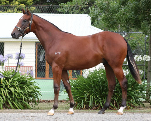 Zoustar X Flying Hula