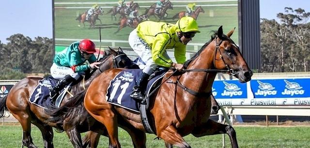 Griffo and Spider make it 23 and 24