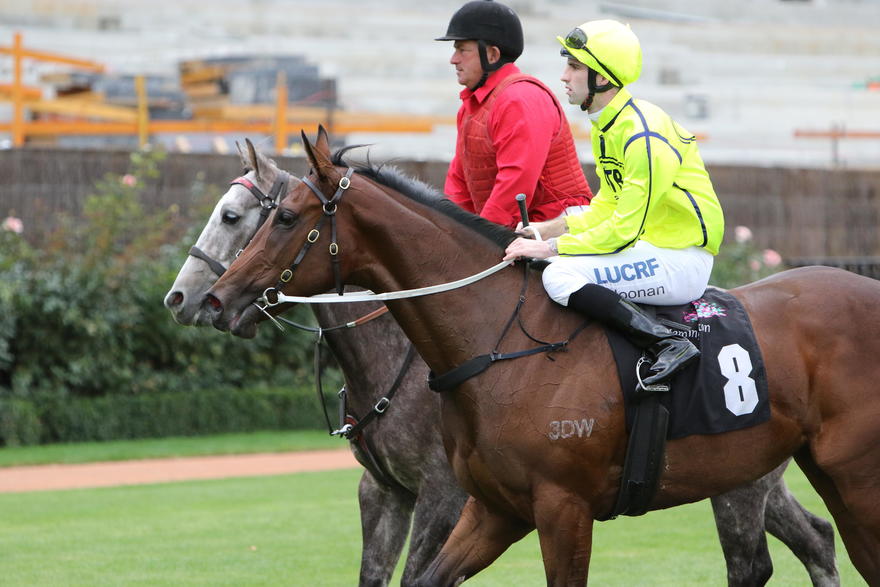 Crack The Code makes it Three for the Week!