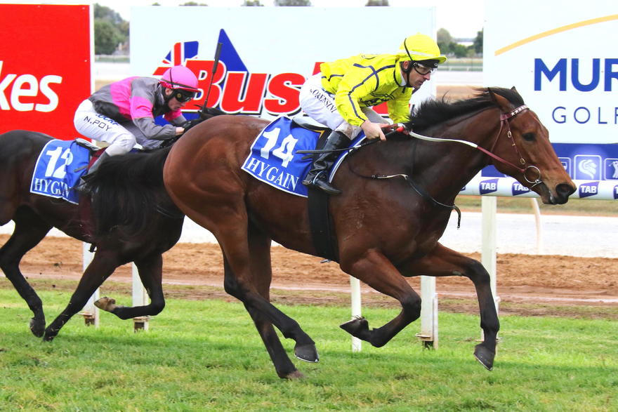 313A0505 Social Spin june 9 2018.jpg