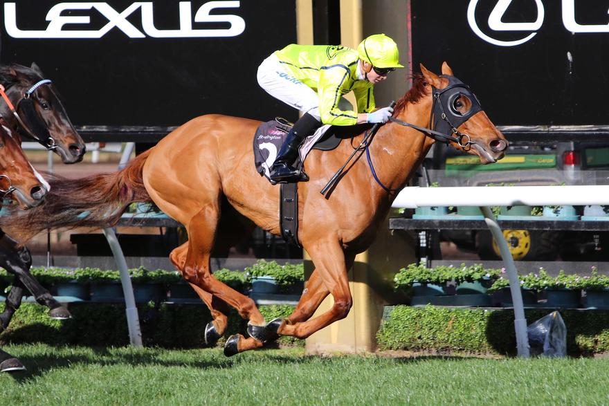 What a week - four winners!