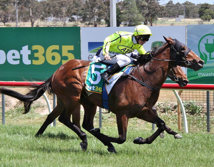 Igniter oct22 '18 Stawell.jpg