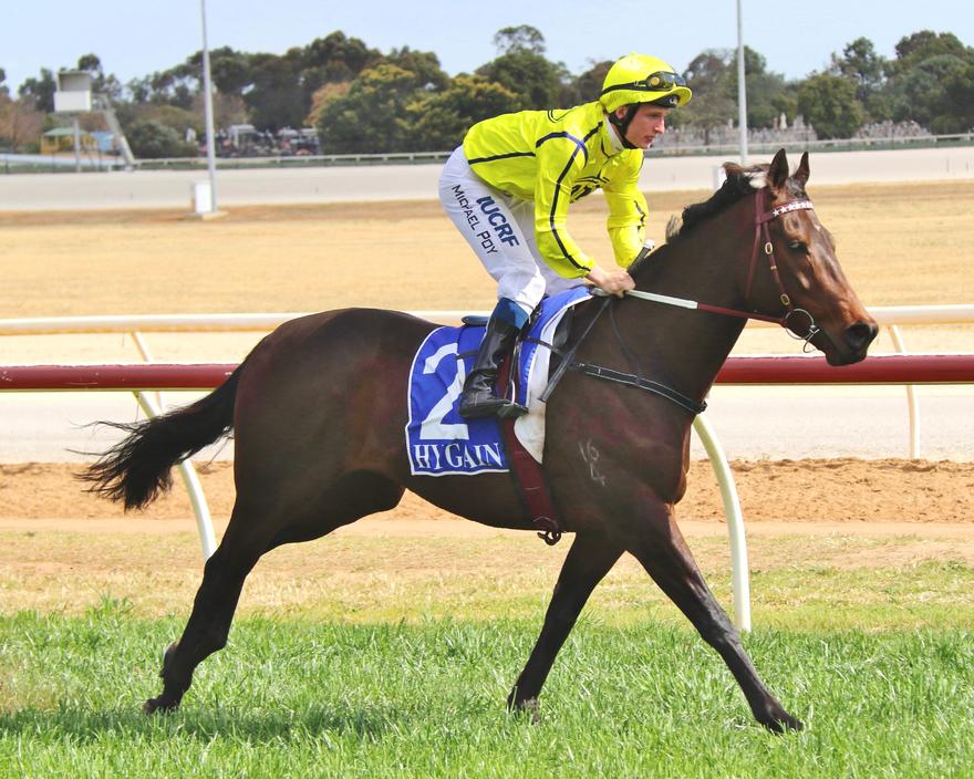 Periscope Swan Hill Oct 2 '18.jpg