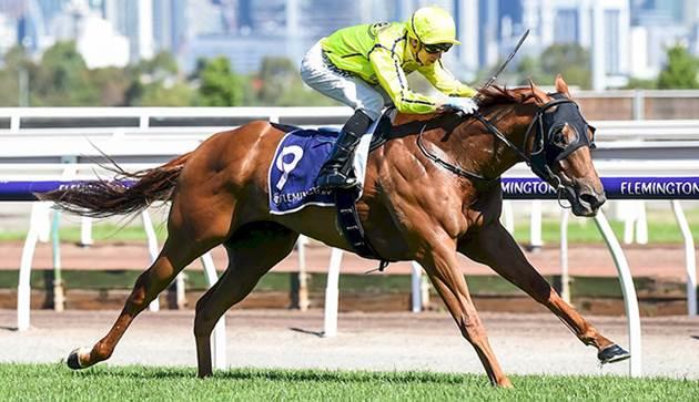 Mr Money Bag Delivers