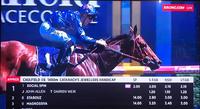 SOCIAL TAKING OWNERS ON A SPIN