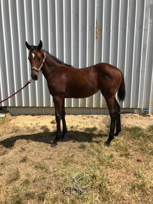 Written Tycoon X Rockolicious
