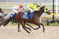 FREEDMAN DELIVERS AGAIN