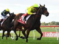 Horse Management Bears Fruit