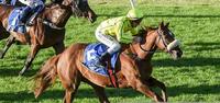 Finals Day At Flemington